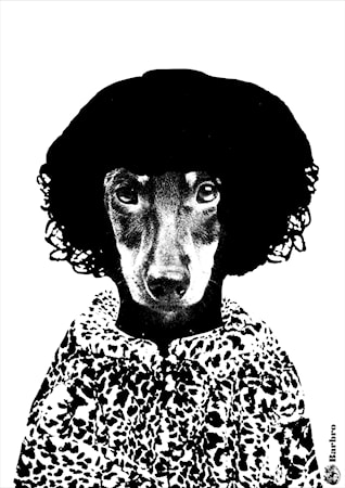 Barbro Poster A4