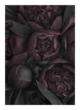 Poster No 1 Heartbeats