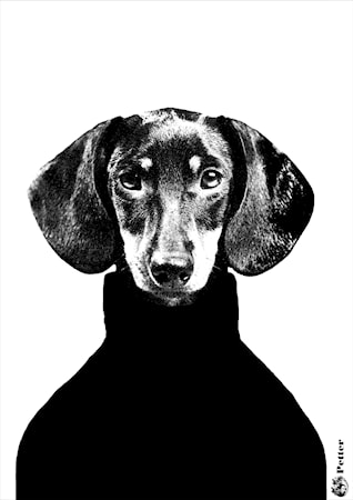 Petter Poster A4