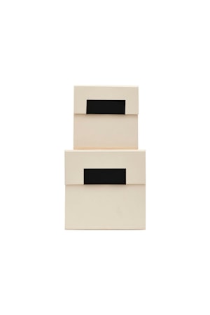 Förvaring med lock Birch Beige 2 st
