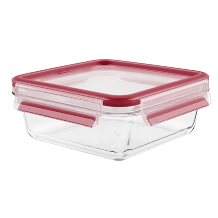 MasterSeal GLARostfritt Stål fresh box sq 0.9L