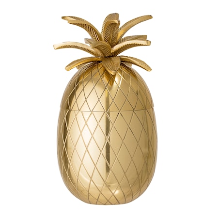 Ishink Pineapple 1l