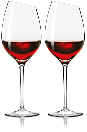 Vinglas Syrah 2 st