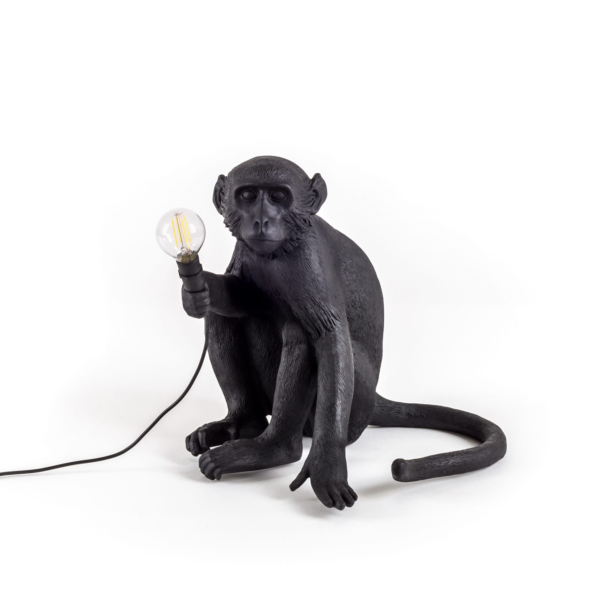 Lampa apa sittande utomhus svart