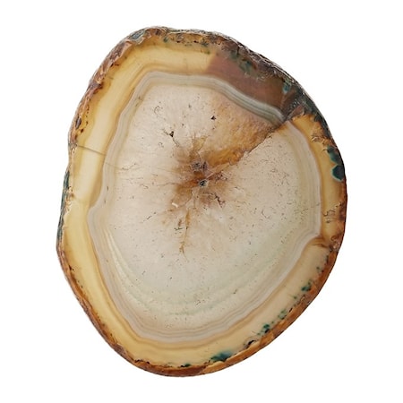 Nobilia Knopp 6x4.5 cm - Light brown/guld