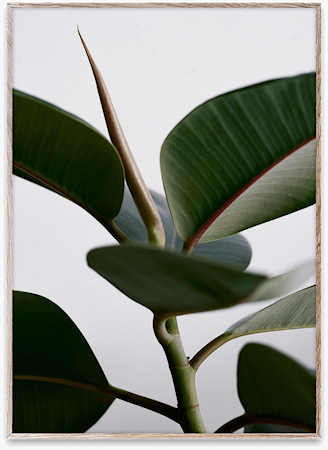 Green Home 02 Poster 30x40 cm