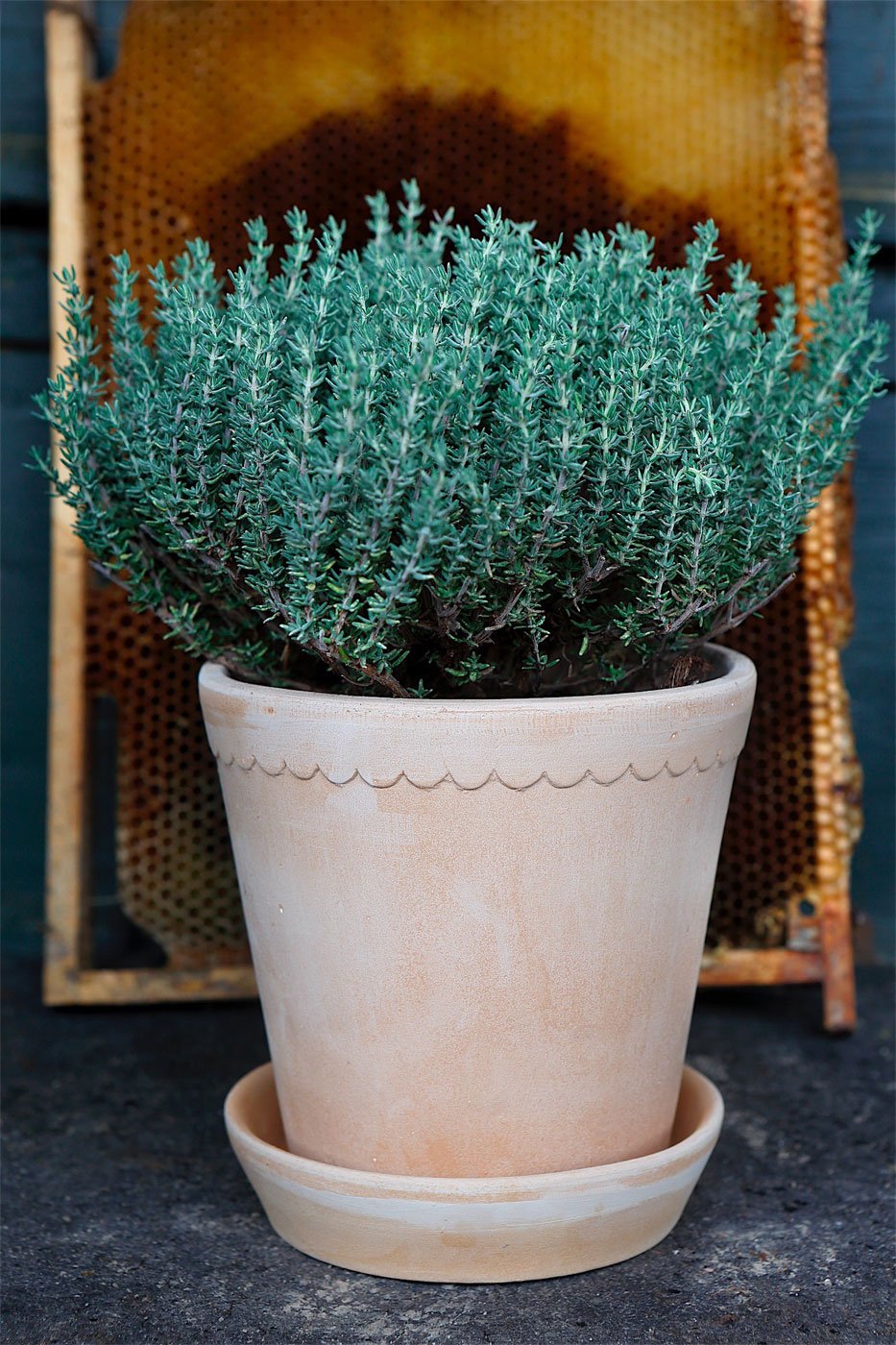 Kruka Helena 18 cm ljusrosa inkl.fat