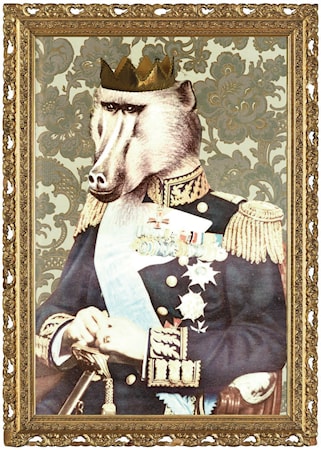 Kungen af Djungeln Poster 50x70 cm