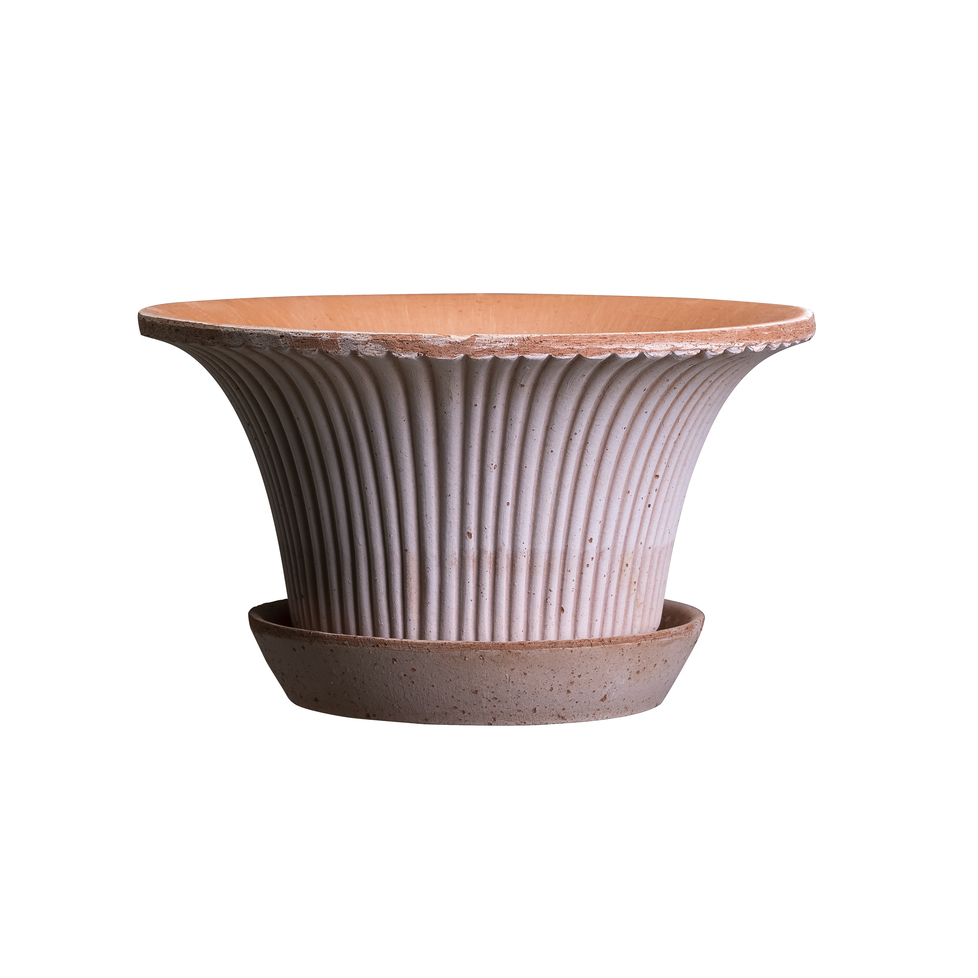 Bergs Potter Daisy Rose 30 cm kruka