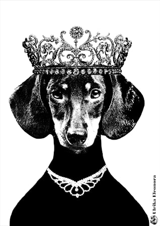 Ulrika Eleonora Poster A4