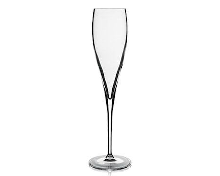 Vinoteque champagne perlage kl