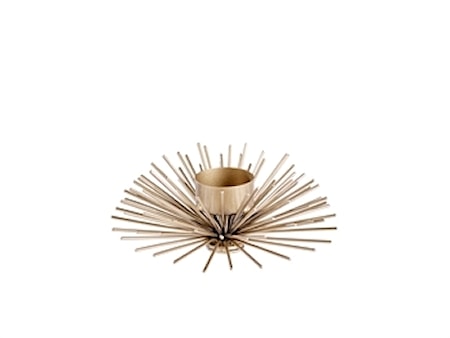 Stardust T-light Guld Ø16x5,5 cm