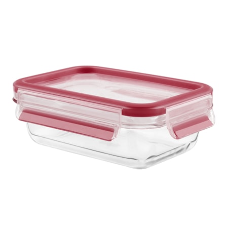 MasterSeal GLARostfritt Stål fresh box rect 1.3L