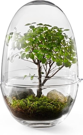 Grow Medium