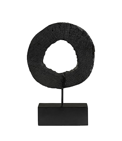 COAL Burnt black