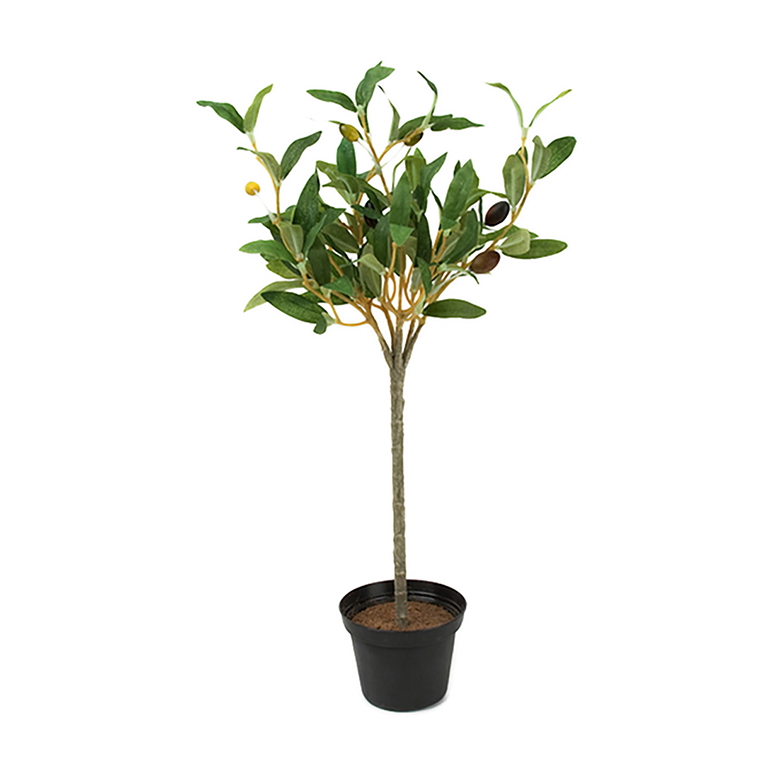 Konstväxt Olivträd 40 cm kruka