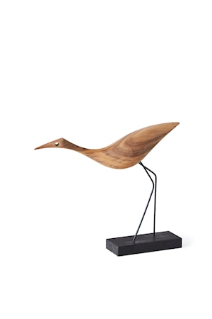 Beak Bird Low Heron
