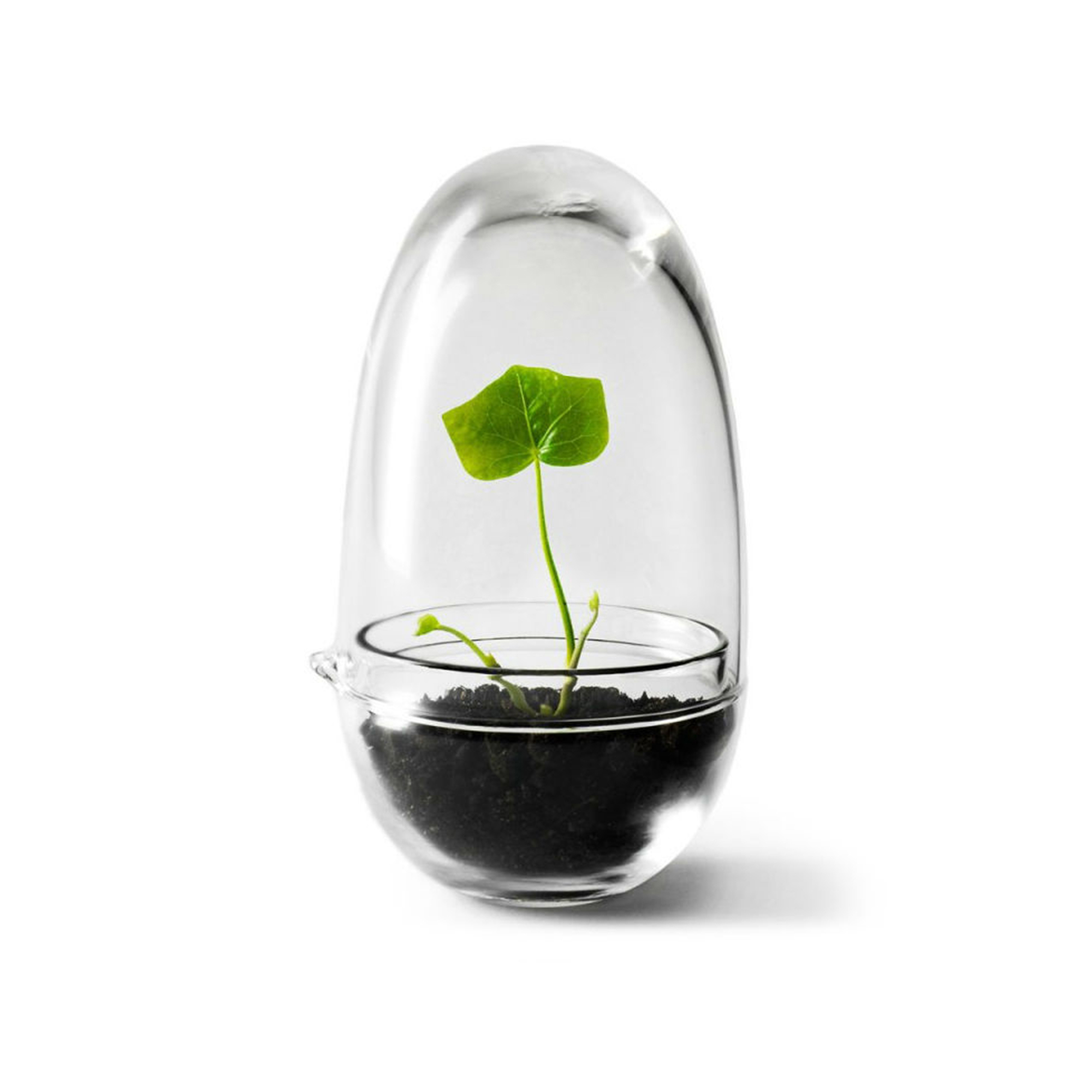 Design House Stockholm Växthus Grow Glas S