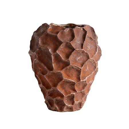 Soil Vas Rust