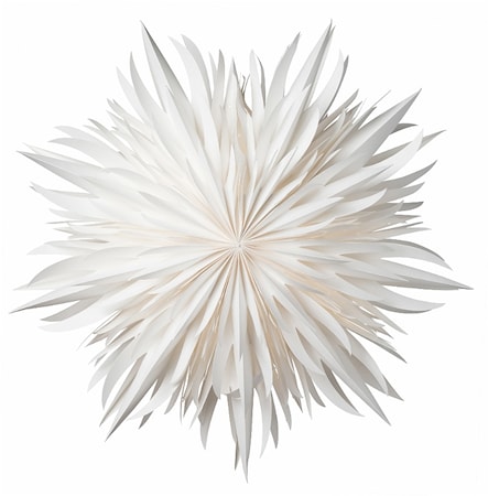 Eldig Pappersstjärna Vit 52 cm