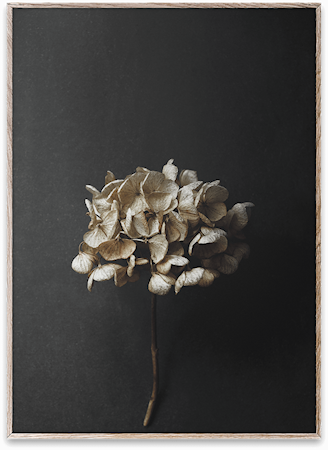 Still Life 04 Poster 30x40 cm