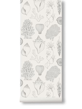 Katie Scott Tapet Shells Off White