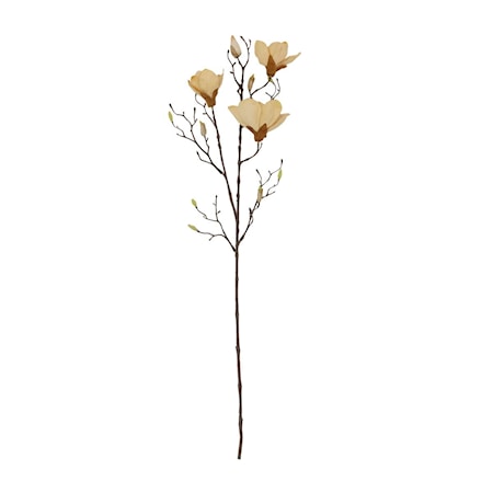 Mangnolia Off-White