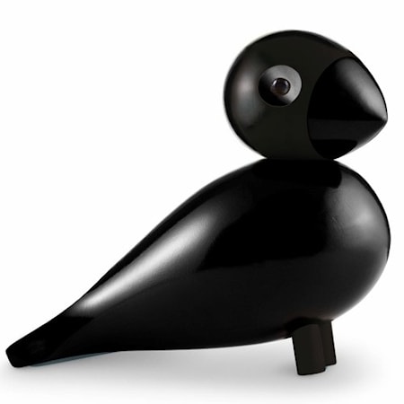 Sångfågel Ravn Svart